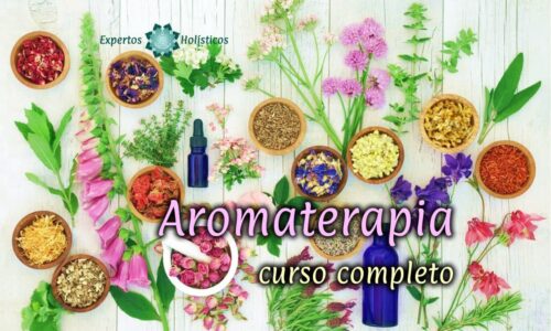 Instructor 9 miniatura del curso