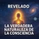 La Consciencia REVELADA