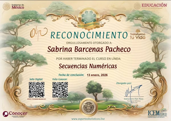Secuencias Numéricas 1 Reconocimiento Secuencias numericasi2