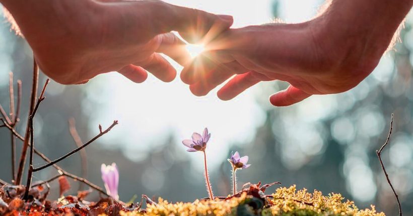 terapias holísticas