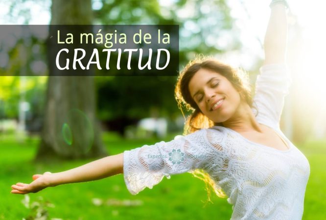 LA MAGIA DE LA GRATITUD